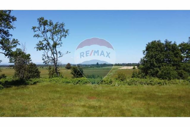 Proyecto las mercedes la unión