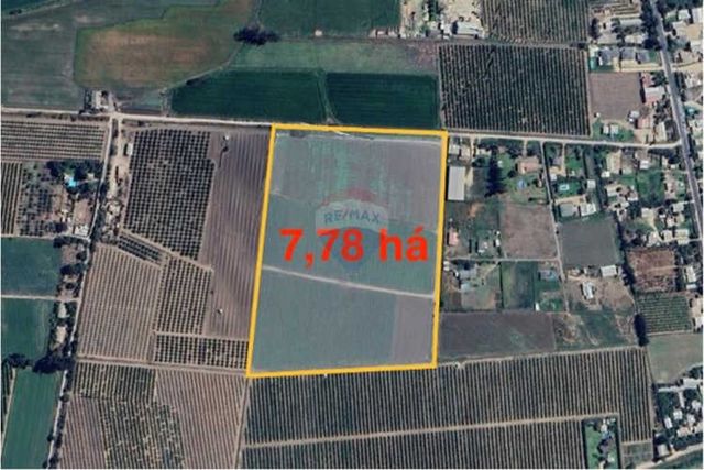 Paño de 7,78 has en mallarauco, 100% agrícola