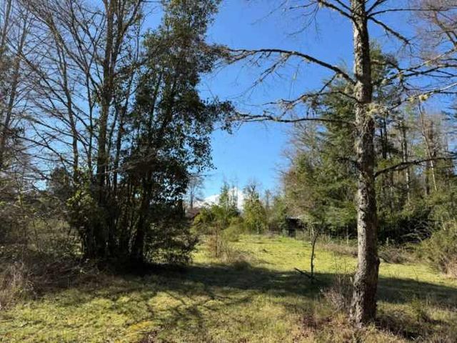 Terreno en venta ubicado en Molco