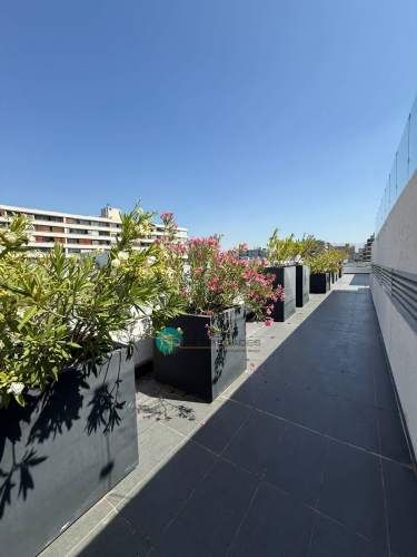 Arriendo Amoblado Amplio Departamento / Comuna De Ñuñoa