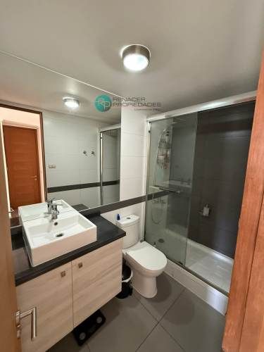 Arriendo Amoblado Amplio Departamento / Comuna De Ñuñoa