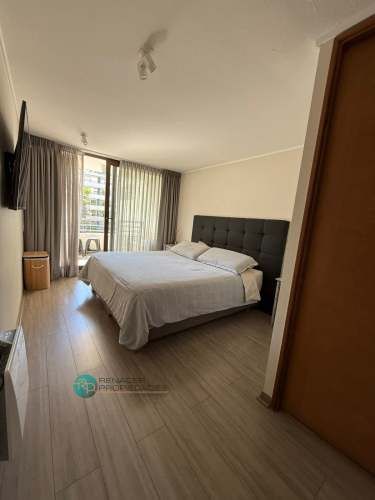 Arriendo Amoblado Amplio Departamento / Comuna De Ñuñoa