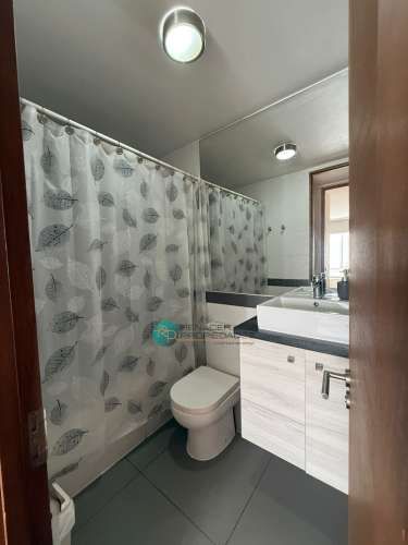 Arriendo Amoblado Amplio Departamento / Comuna De Ñuñoa