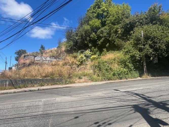 Sitio Comercial en Esquina de Alto flujo Trigal /Crucero .