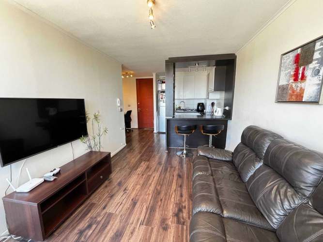 ¡Vive en las alturas de Viña con estilo! (129460)