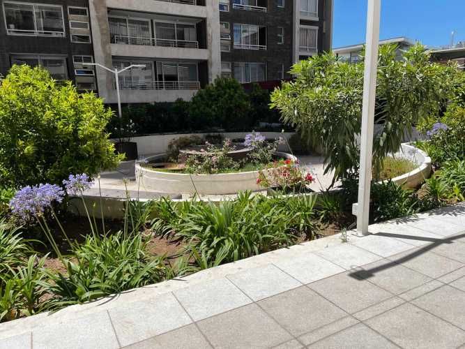 ¡Vive en las alturas de Viña con estilo! (129460)