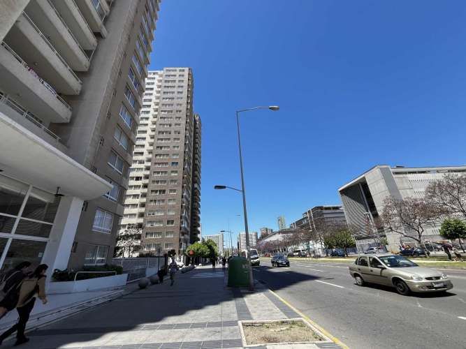 ¡Vive en las alturas de Viña con estilo! (129460)