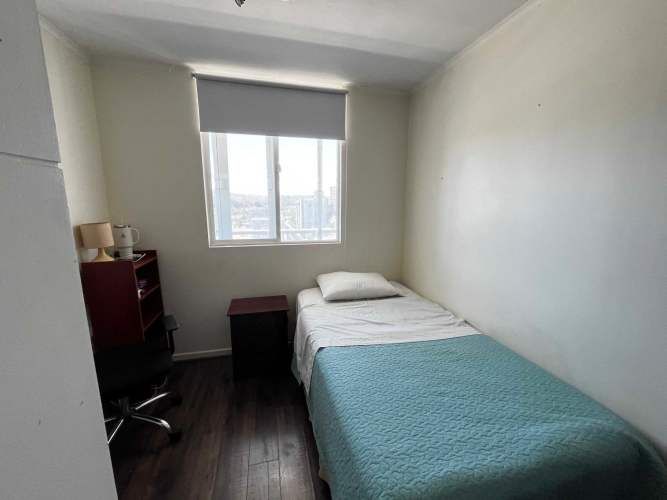 ¡Vive en las alturas de Viña con estilo! (129460)