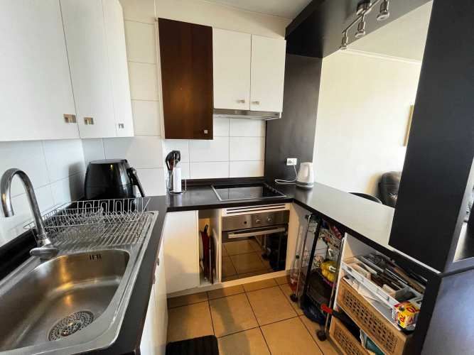 ¡Vive en las alturas de Viña con estilo! (129460)