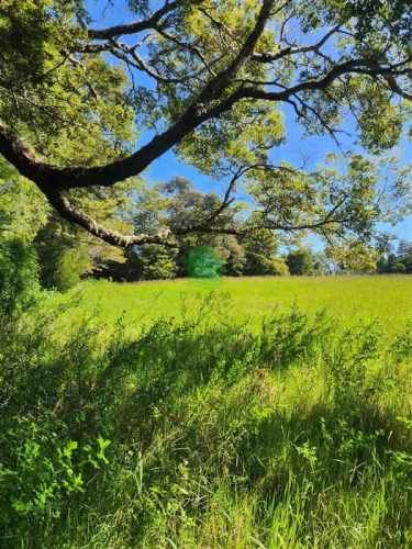 PARCELA Riberas de la Dehesa