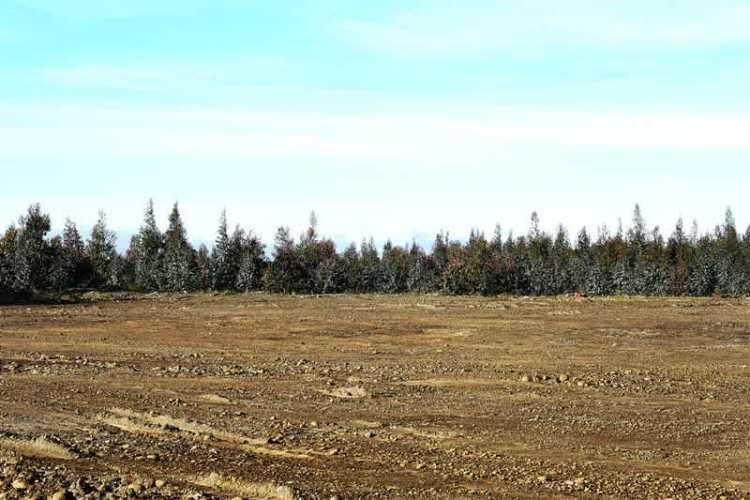 AGRICOLA Sector Santa Rita. Entre Angol y Renaico.