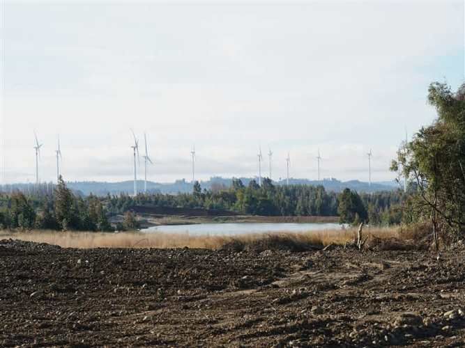 AGRICOLA Sector Santa Rita. Entre Angol y Renaico.