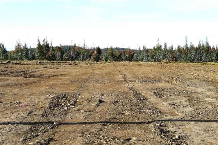 AGRICOLA Sector Santa Rita. Entre Angol y Renaico.