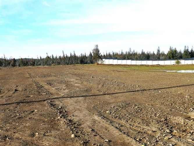 AGRICOLA Sector Santa Rita. Entre Angol y Renaico.