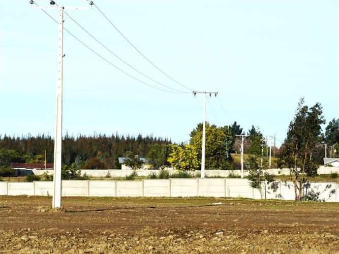 AGRICOLA Sector Santa Rita. Entre Angol y Renaico.