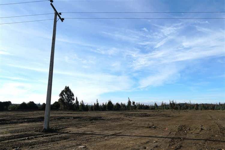 AGRICOLA Sector Santa Rita. Entre Angol y Renaico.