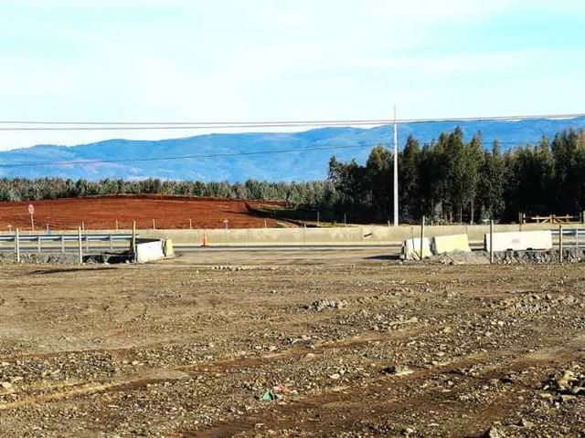 AGRICOLA Sector Santa Rita. Entre Angol y Renaico.