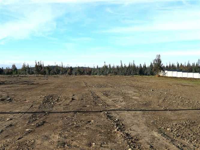 AGRICOLA Sector Santa Rita. Entre Angol y Renaico.