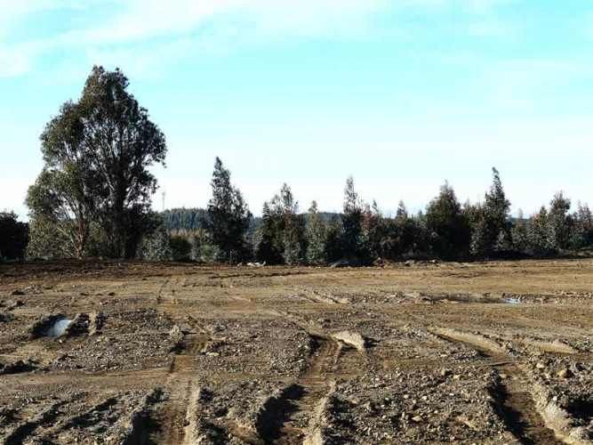 AGRICOLA Sector Santa Rita. Entre Angol y Renaico.