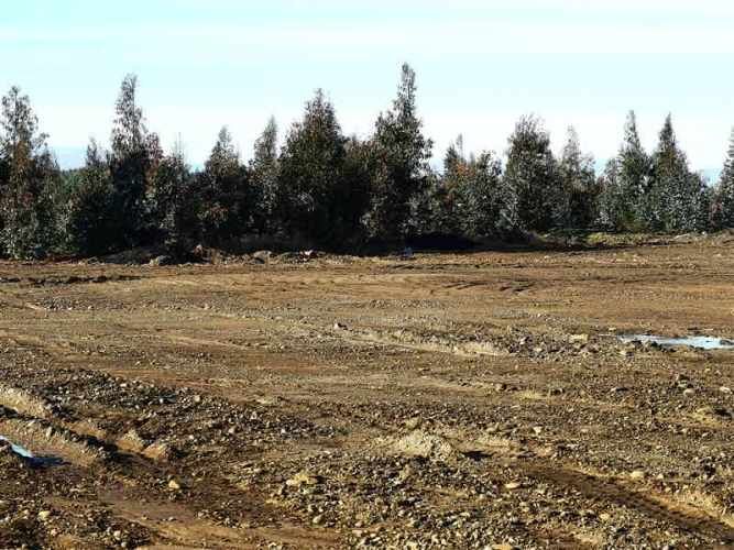 AGRICOLA Sector Santa Rita. Entre Angol y Renaico.