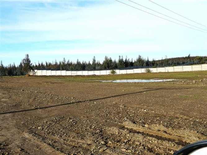 AGRICOLA Sector Santa Rita. Entre Angol y Renaico.