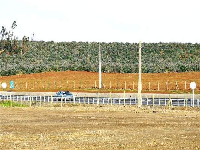 AGRICOLA Sector Santa Rita. Entre Angol y Renaico.