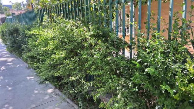 CASA metro protectora de la infancia