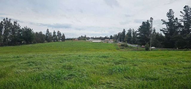 Camino Temuco Chol Chol (129530)