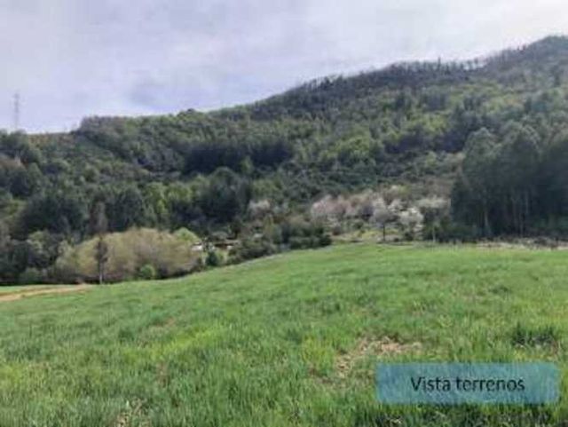 Venta directa de parcelas en Polcura Región del Biobio