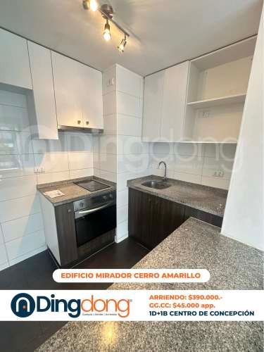 Departamento 1D+1B centro de Concepción