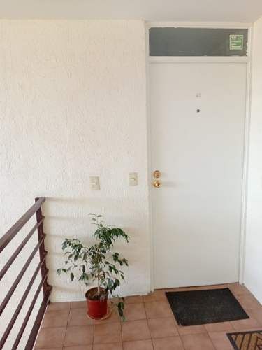 Soleado departamento 3 dormitorios