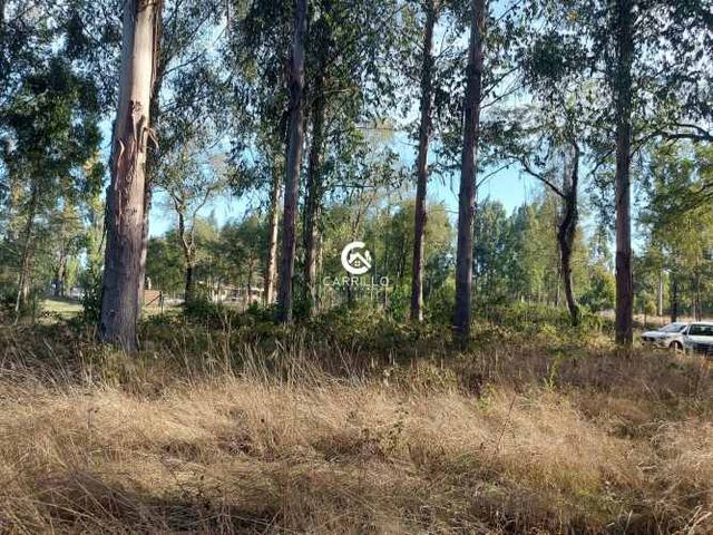 VENDEMOS PARCELA SECTOR COHIPUES