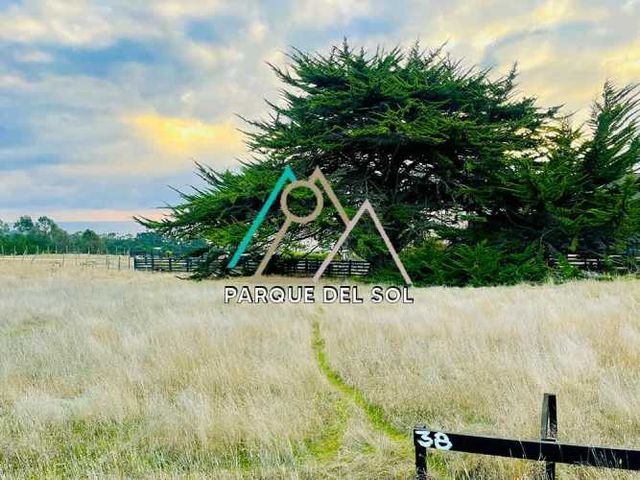 Terreno en venta ubicado en Localidad de Pichilemu