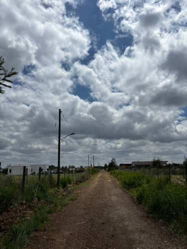 Parcela N° 29 Parcelación &quot;Alto El Rosario&quot;, San Carlos- Ñuble.