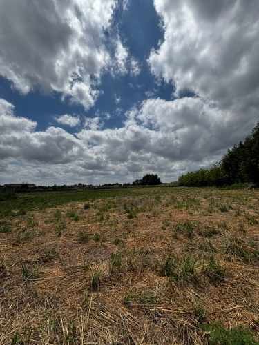 Parcela N° 29 Parcelación &quot;Alto El Rosario&quot;, San Carlos- Ñuble.