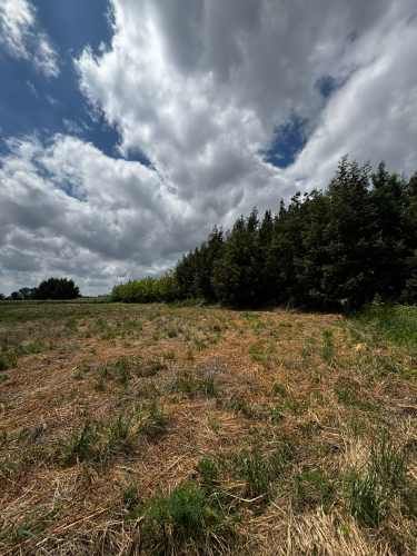 Parcela N° 29 Parcelación &quot;Alto El Rosario&quot;, San Carlos- Ñuble.
