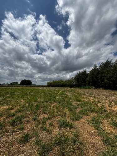 Parcela N° 29 Parcelación &quot;Alto El Rosario&quot;, San Carlos- Ñuble.