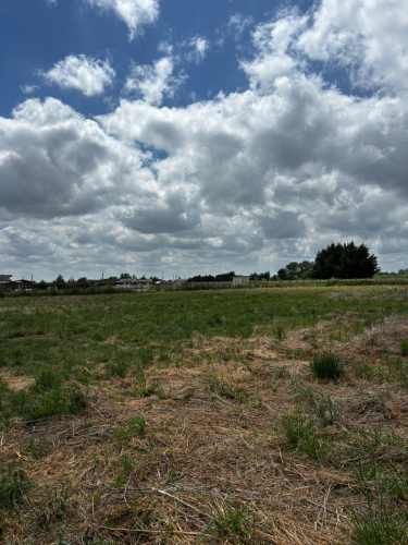 Parcela N° 29 Parcelación &quot;Alto El Rosario&quot;, San Carlos- Ñuble.