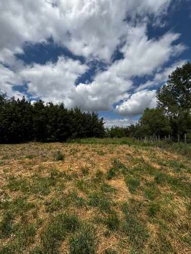 Parcela N° 29 Parcelación &quot;Alto El Rosario&quot;, San Carlos- Ñuble.