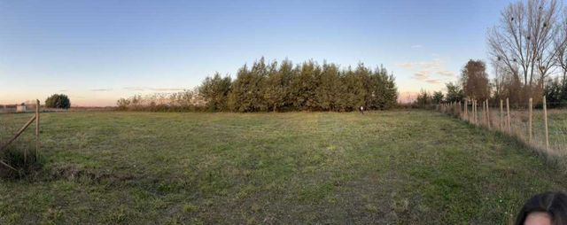 Parcela N° 29 Parcelación &quot;Alto El Rosario&quot;, San Carlos- Ñuble.