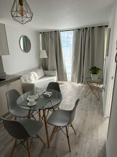 Vendo depto 1d+1b Civic exelente, Concepción