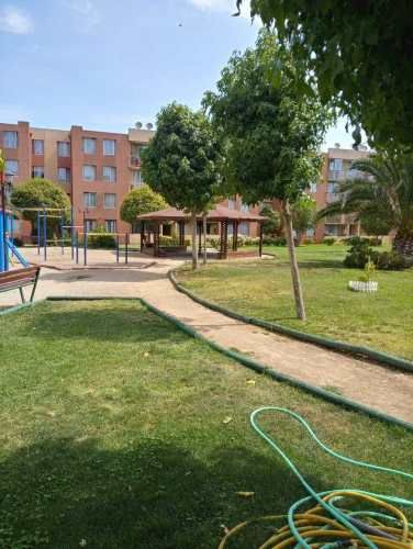 Vive el Confort en Pleno Centro Urbano (129673)