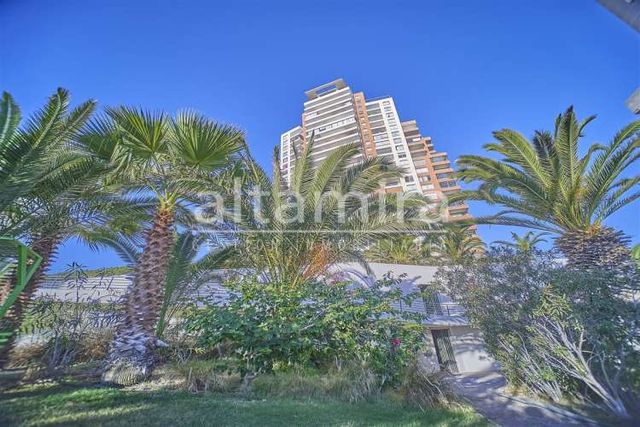 DEPARTAMENTO Edificio Araucaria