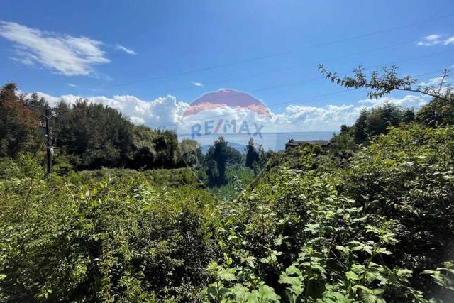 Maravillosa parcela con vista y bajada al lago