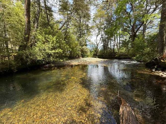 OPORTUNIDAD UNICA UF1916 PANGUILELFUN PANGUIPULLI 5000M2