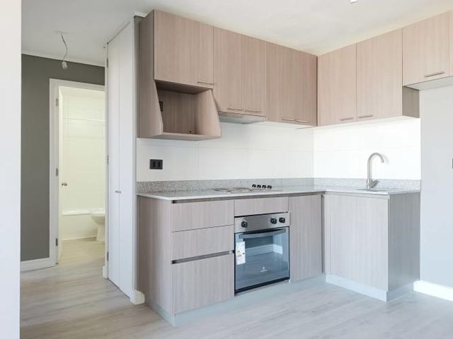 Paulina 8753 [3118-3]