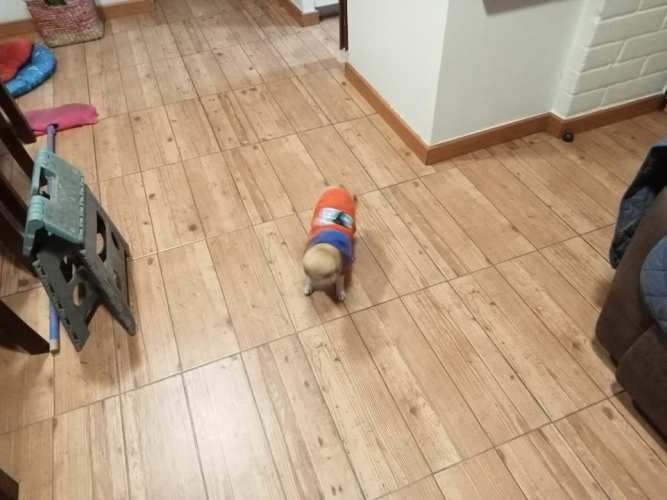 Hermosa casa en Maipú