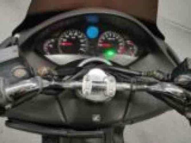 yamaha majesty 250cc