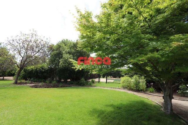 Casa Tipo Comercial en Venta en Chicureo