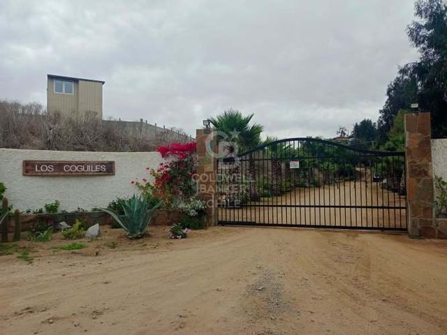 Parcela Maravillosa en Altos de Maitencillo de 10.000M2